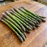 Mary Washington, Asparagus Roots - 10 Crowns thumbnail number null